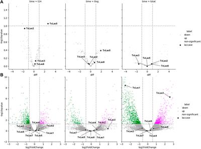 Distinct laccase expression and activity profiles of Trametes versicolor facilitate degradation of benzo[a]pyrene